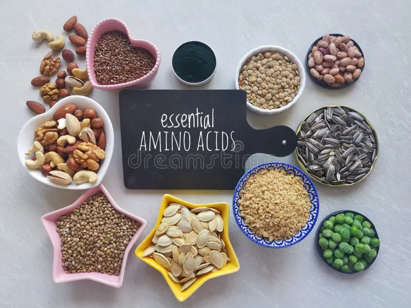 Đậu lăng và quinoa, nguồn thực phẩm giàu axit amin từ thực vật, tốt cho người ăn chay.