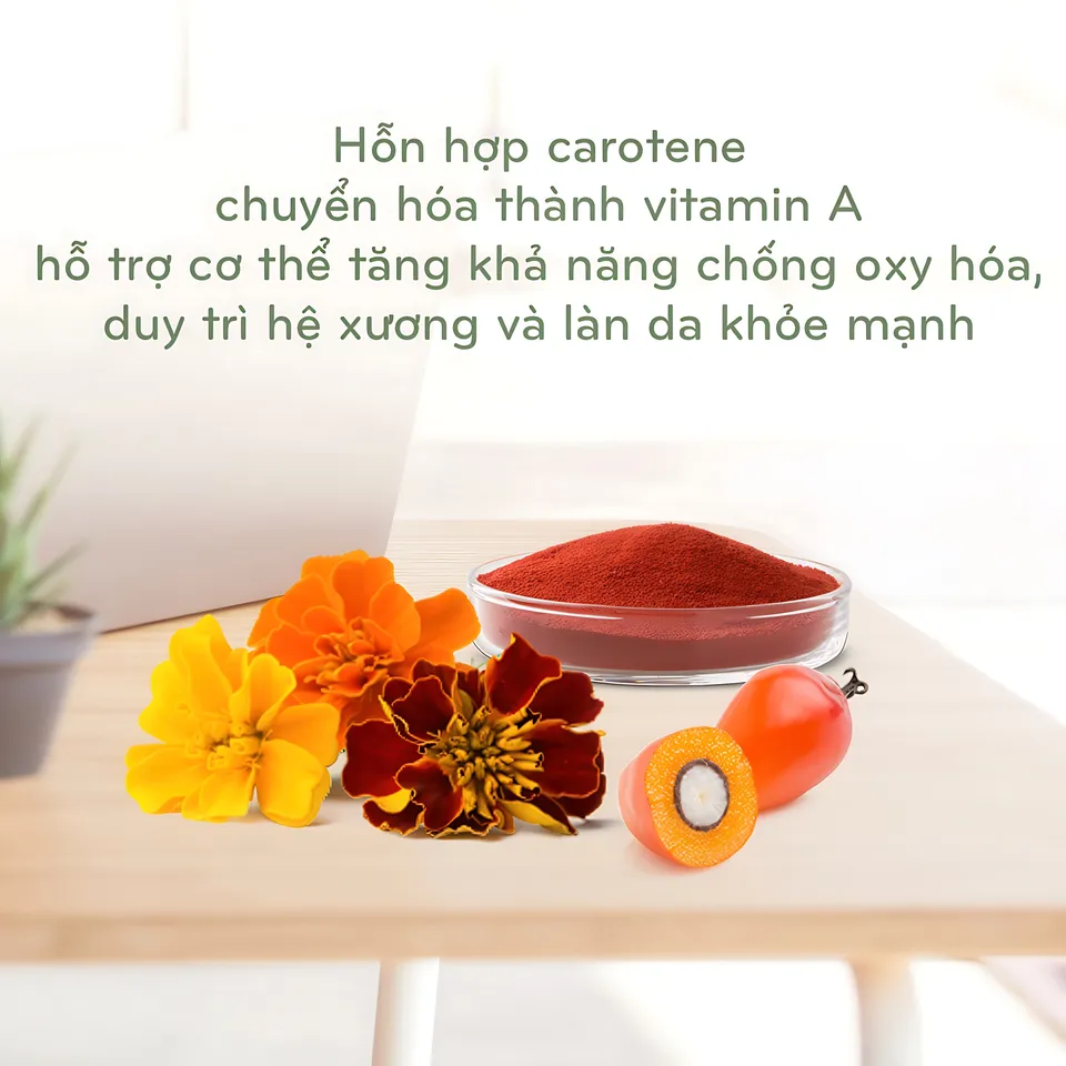 Cơ chế hoạt động của Nutrilite Multi Carotene