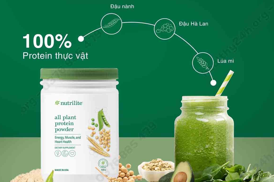 Cơ chế hoạt động của TP BVSK All Plant Protein Powder