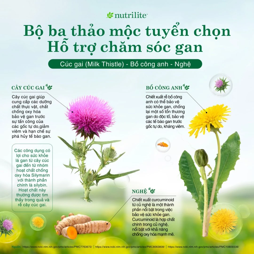 Thành phần và Đặc điểm Nổi bật của Nutritionalite Liver Health