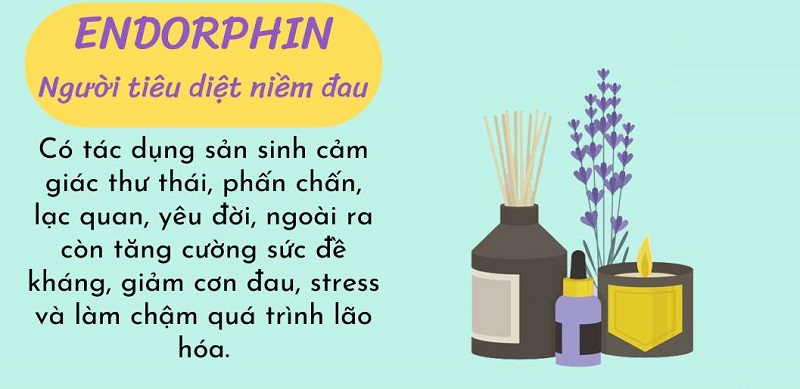 Định Nghĩa Endorphin Trong Cơ Thể