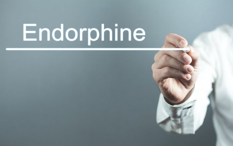 Endorphin Là Gì? Thông Tin Toàn Diện Về Hormone Hạnh Phúc