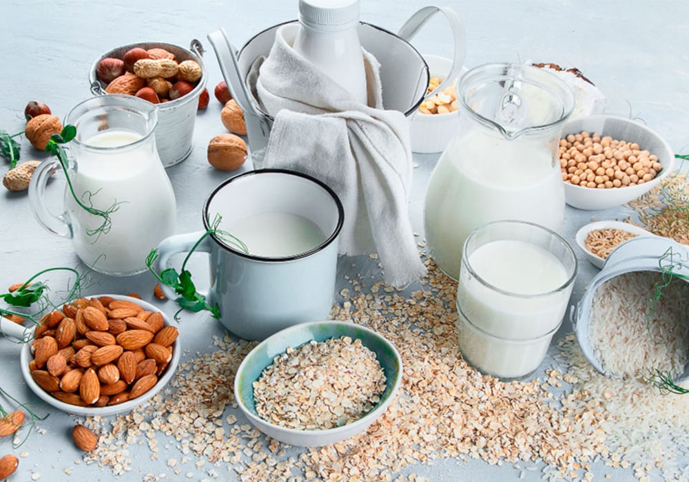 Sữa Thay Thế Cho Người Ăn Chay: Top Lựa Chọn Tốt Nhất Năm 2025