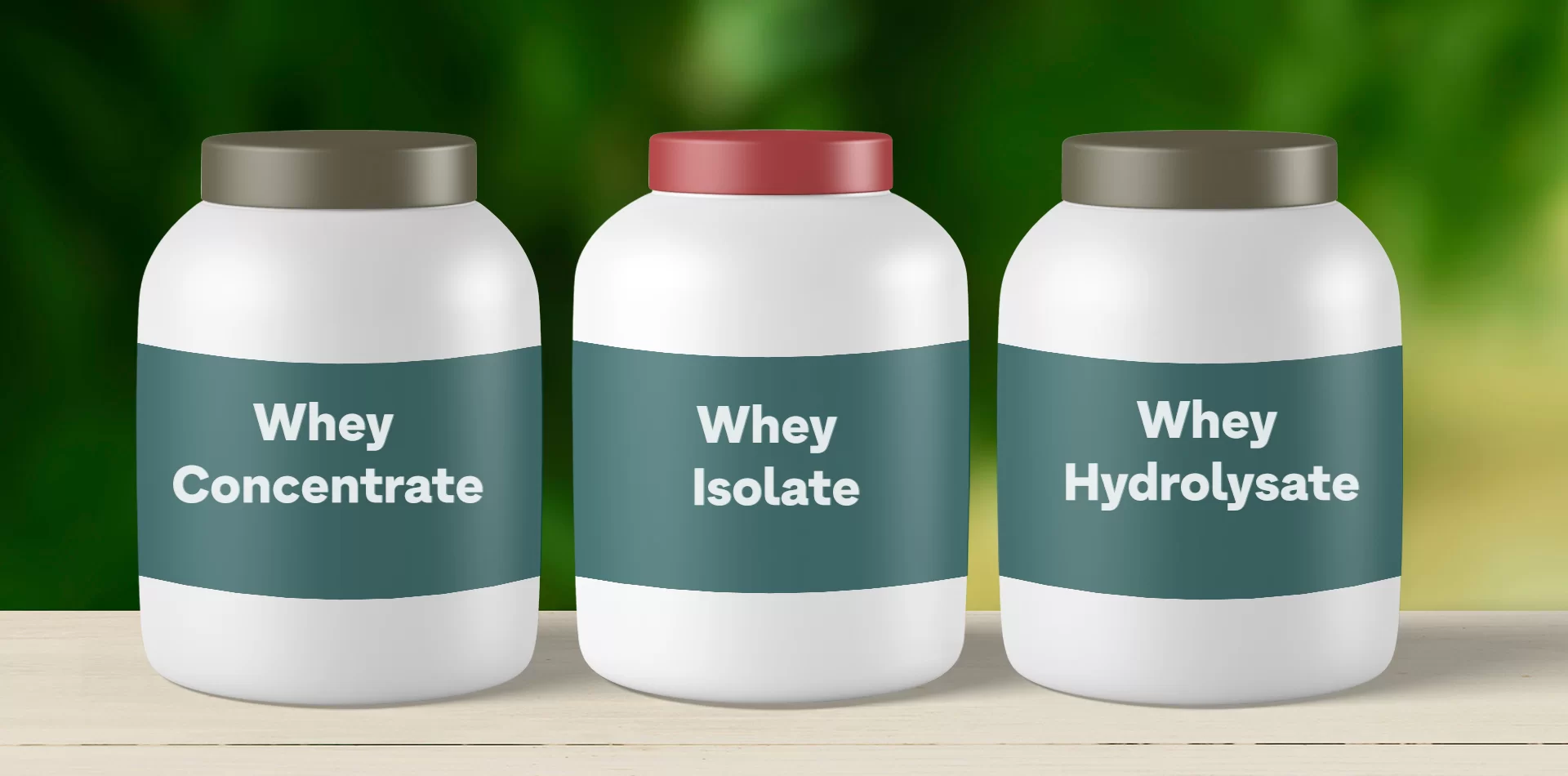 Whey Protein – Nguồn Protein Hấp Thu Nhanh