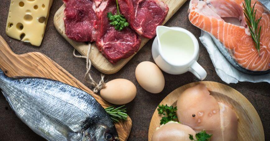 Các nguồn protein động vật bao gồm thịt nạc, cá, trứng, sữa