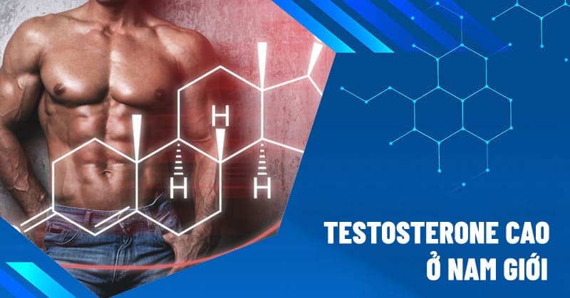 Cách Quản Lý Mức Testosterone Cao