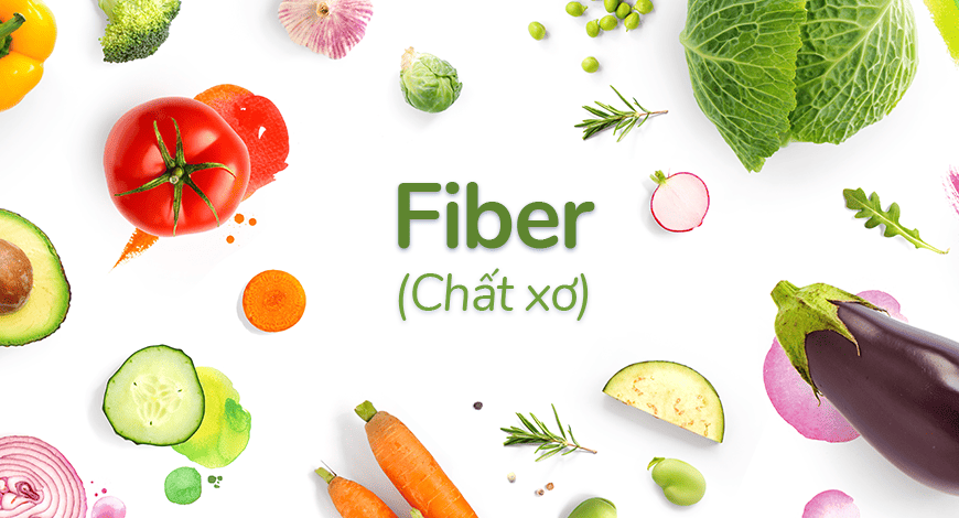 Top 20+ Loại Thực Phẩm Giàu Chất Xơ Tốt Cho Hệ Tiêu Hóa
