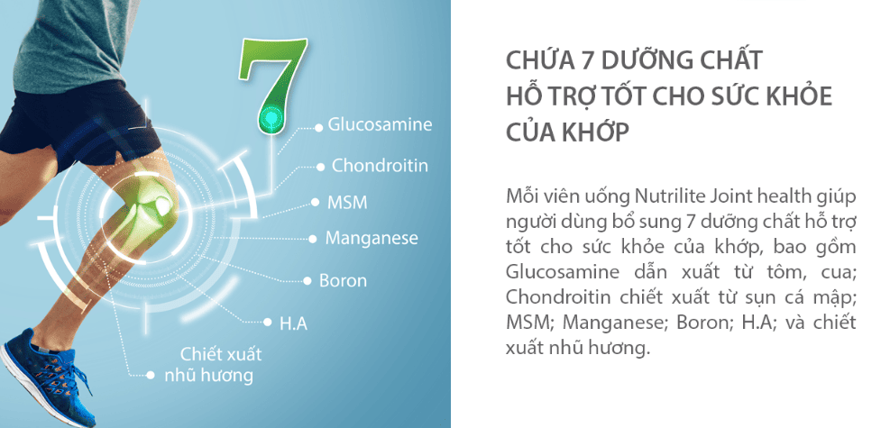 Cơ chế hỗ trợ sức khỏe xương khớp