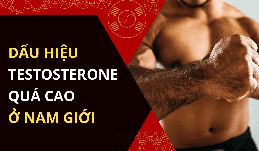 Dấu Hiệu Testosterone Cao: Hướng Dẫn Nhận Biết và Điều Chỉnh Phù Hơp