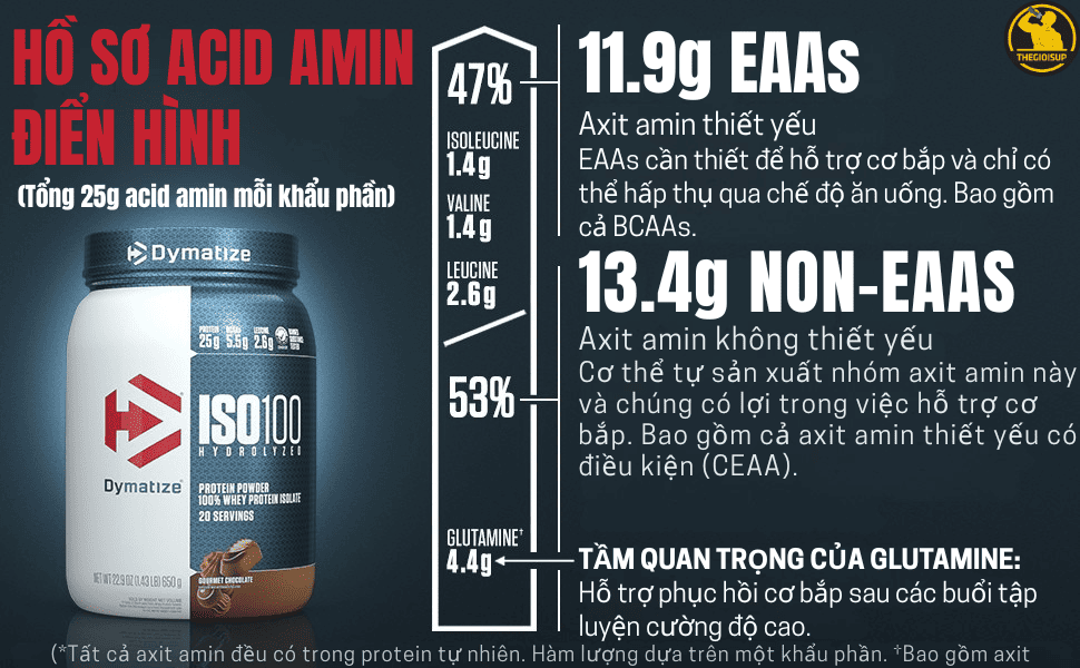 Dymatize ISO 100 Hydrolyzed whey isolate ít carb