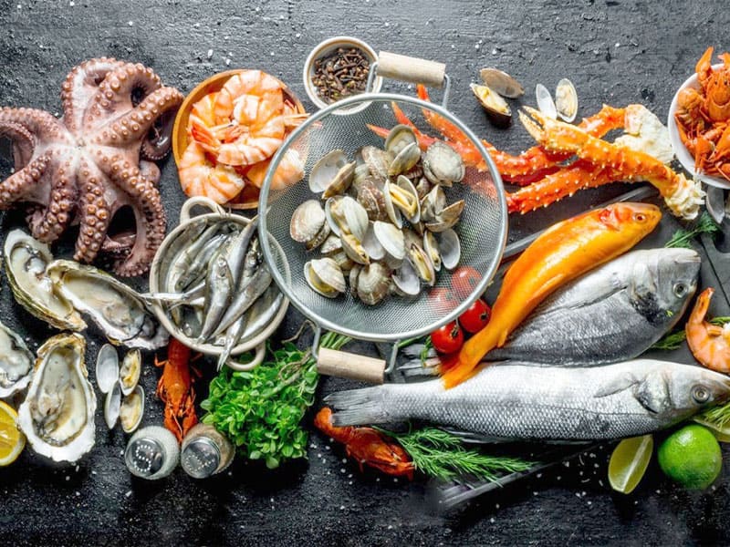 Thực Phẩm Từ Động Vật Giàu Collagen