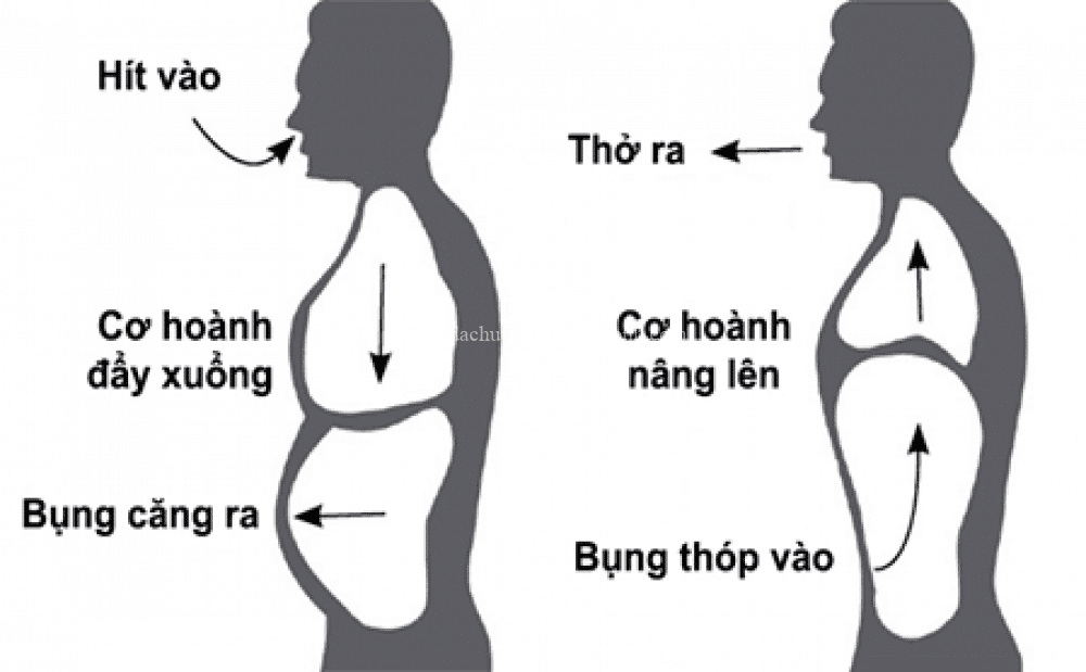 Hệ hô hấp khỏe mạnh chính là “cửa ngõ sự sống” của con người