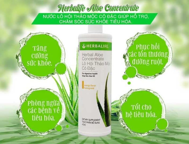 Hướng Dẫn Sử Dụng Lô Hội Thảo Mộc Cô Đặc Herbalife Vị Chanh Hiệu Quả