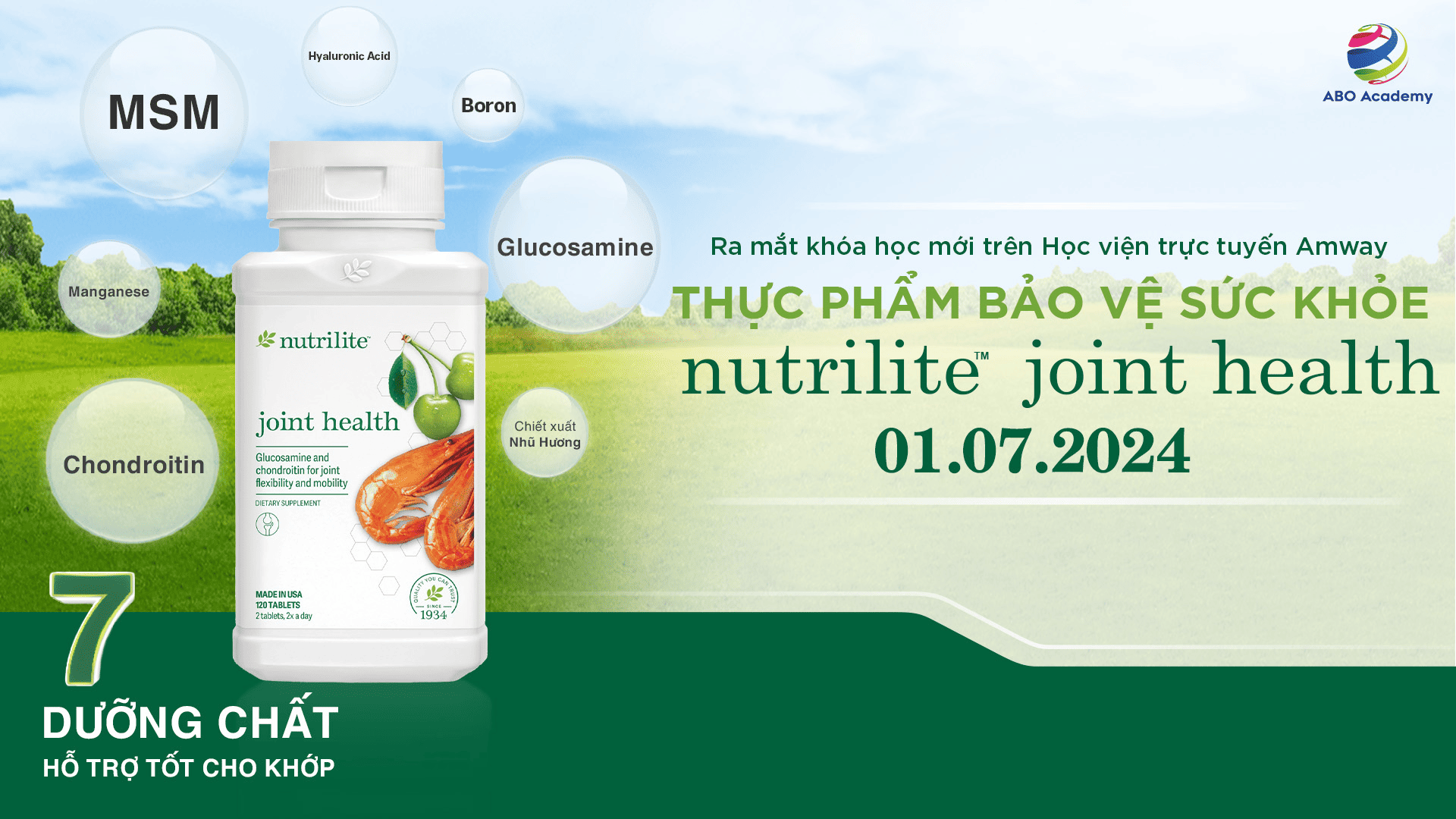 Hướng dẫn sử dụng hiệu quả - Tối ưu hóa lợi ích của TP BVSK Joint Health