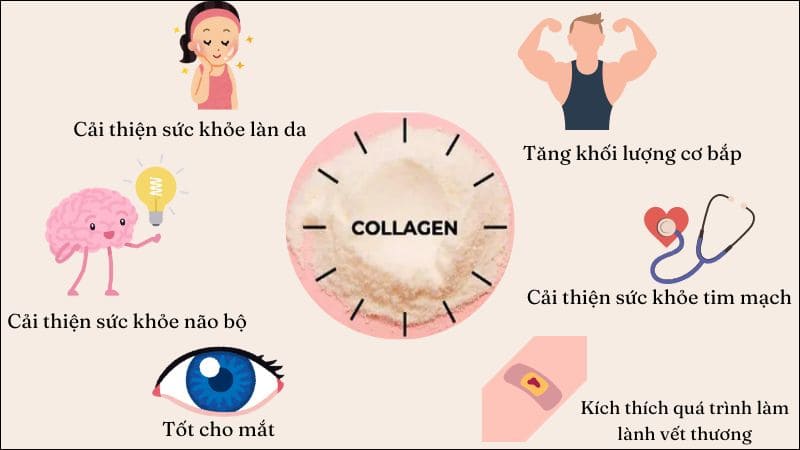 Lợi Ích Của Collagen Đối Với Sức Khỏe Và Làm Đẹp 