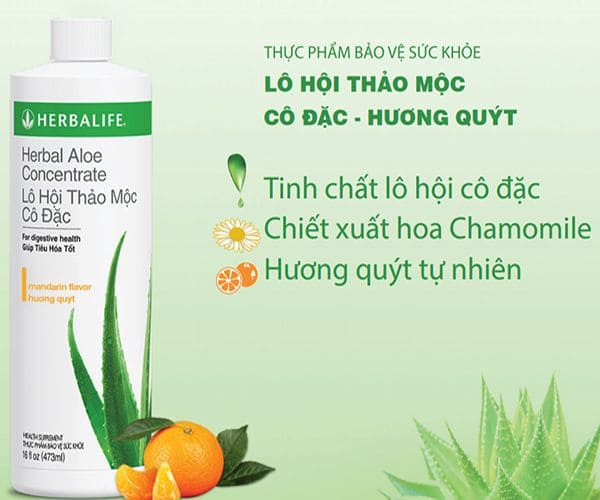 Lợi Ích Nổi Bật Của Lô Hội Thảo Mộc Cô Đặc Herbalife Quýt