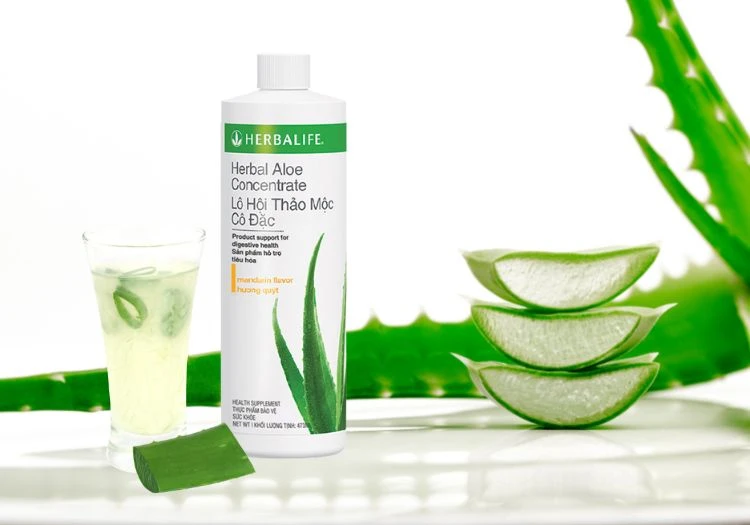 Lợi Ích Nổi Bật Của Lô Hội Thảo Mộc Cô Đặc Herbalife Vị Chanh