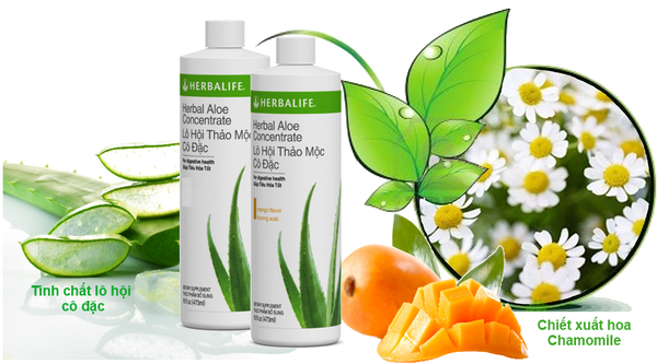 Lợi Ích Nổi Bật Của Lô Hội Thảo Mộc Cô Đặc Herbalife Vị Xoài