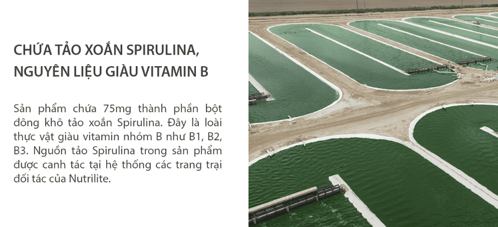 Lợi ích vượt trội của Nutrilite Vitamin B Dual - Action