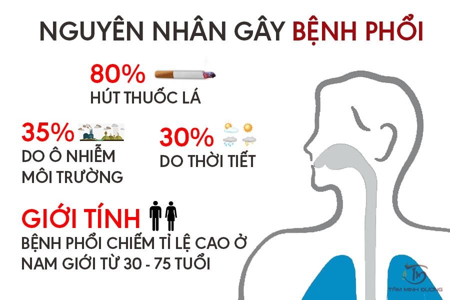 Nguyên Nhân Gây Ảnh Hưởng Đến Hệ Hô Hấp