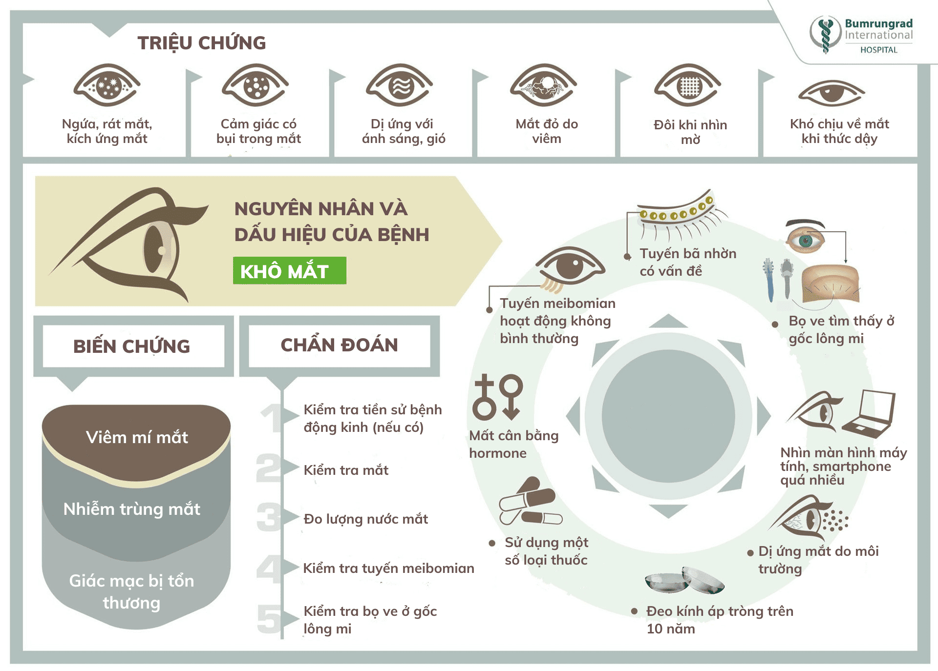Nguyên Nhân Gây Các Vấn Đề Về Mắt