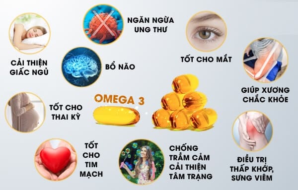 Omega 3 Là Gì Lợi Ích Và Top Sản Phẩm Tốt Nhất