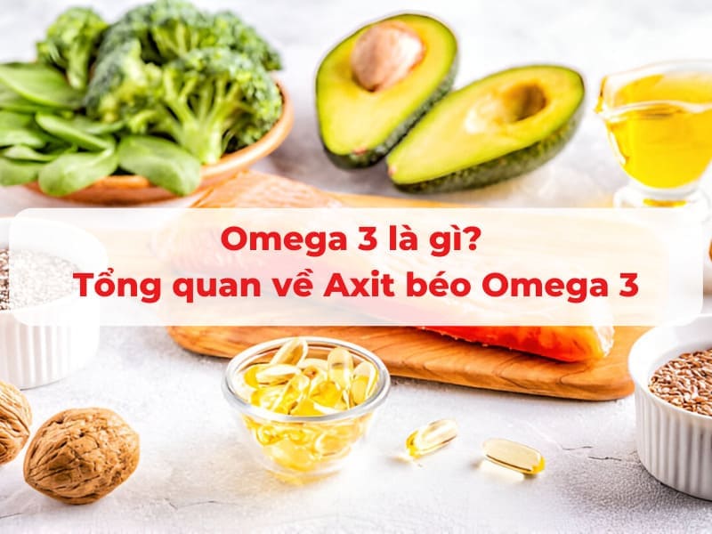 Omega 3 Là Gì? Vai Trò, Lợi ích Và Tác Dụng Đối Với Cơ Thể