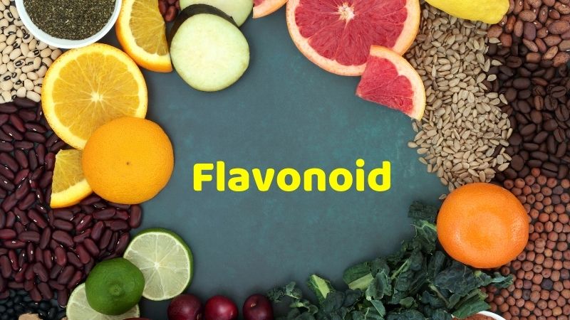 Polyphenol và Flavonoid – Từ thiên nhiên cho não bộ và tim mạch