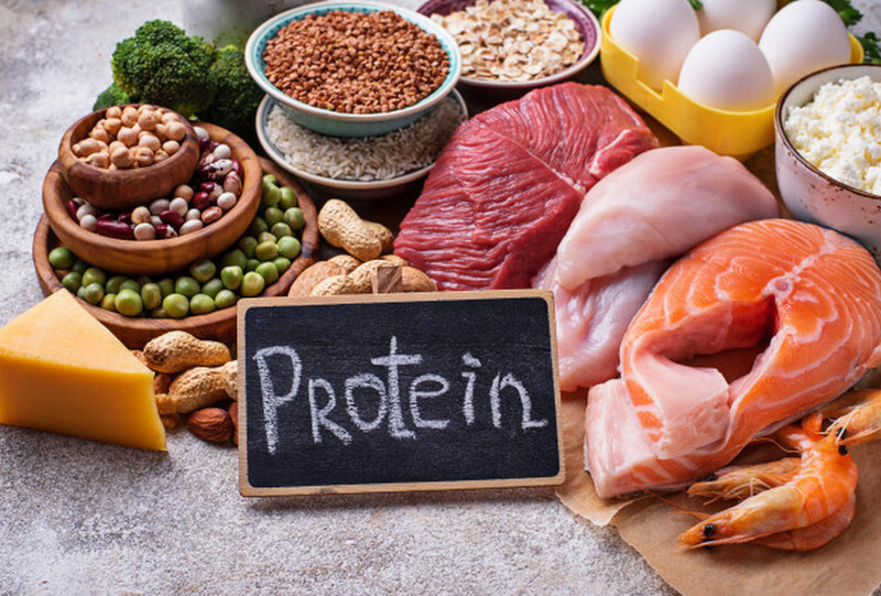 Protein là một trong những dưỡng chất thiết yếu nhất đối với cơ thể