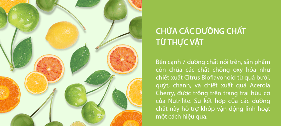 Thành phần nổi bật và nguồn gốc tự nhiên của TP BVSK Joint Health