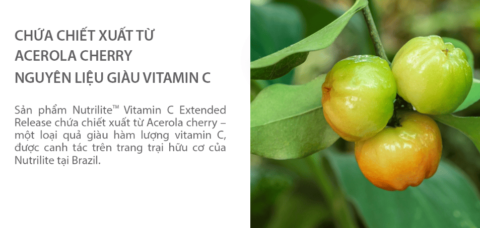 Thành Phần Vitamin C Amway Nutrilite Bio C Plus: Nguồn Gốc Tự Nhiên, Lợi Ích Sức Khỏe
