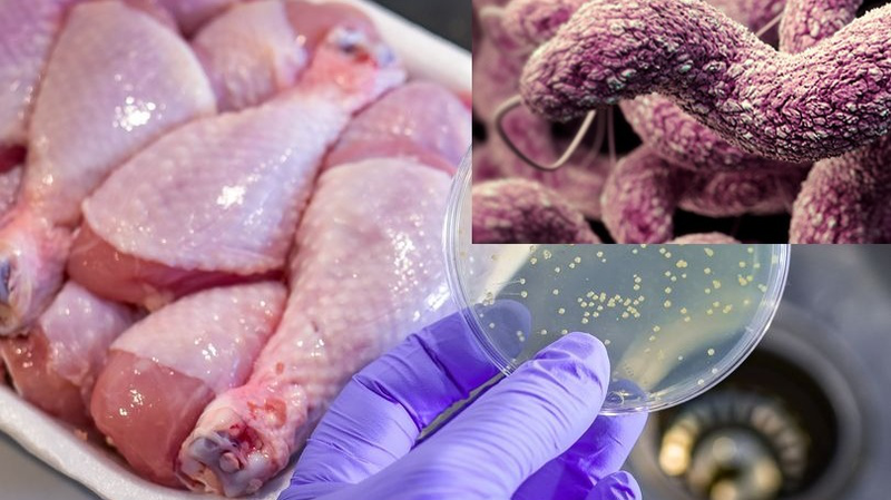 An Toàn Thực Phẩm Để Phòng Thương Hàn