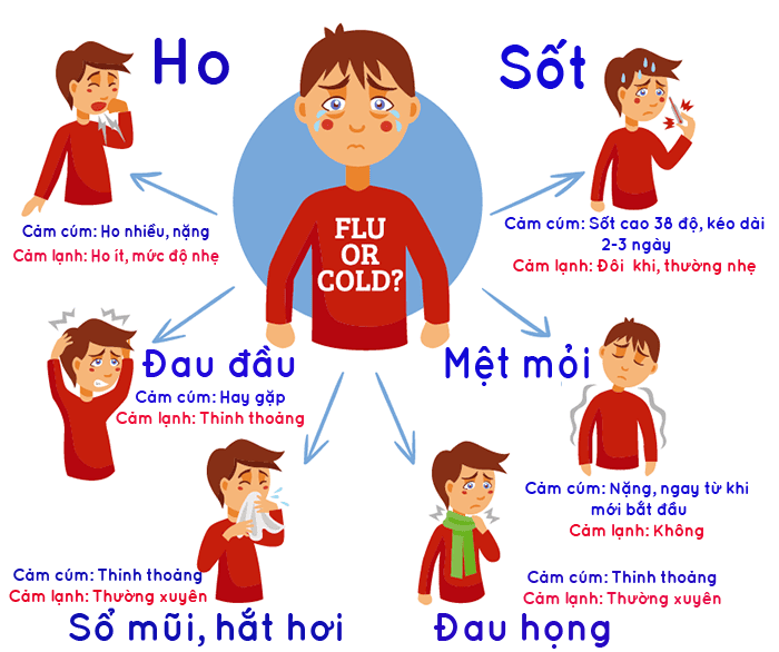 Cảm Cúm Là Gì Và Tại Sao Cần Phòng Ngừa