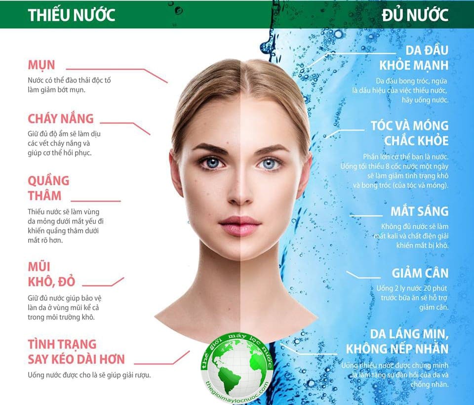 Dấu Hiệu Nhận Biết Cơ Thể Thiếu Nước