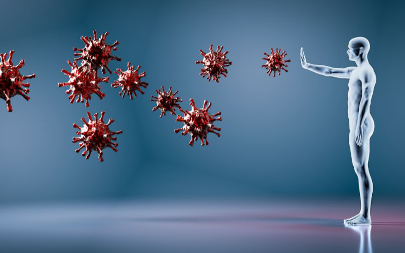 Hệ Miễn Dịch Là Gì Vai Trò Và Cách Tăng Cường Hệ Miễn Dịch Hiệu Quả