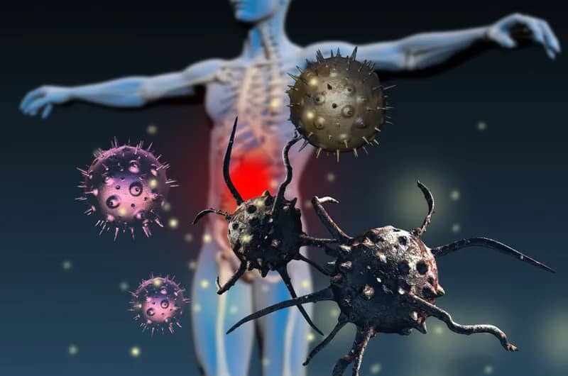 Hệ Miễn Dịch Là Gì? Vai Trò Và Cách Tăng Cường Hệ Miễn Dịch Hiệu Quả