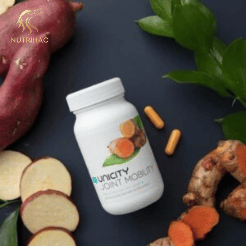 Thành Phần Chính Trong Khớp Uni Joint Mobility Unicity Thành Phần Chính Trong Khớp Uni Joint Mobility Unicity