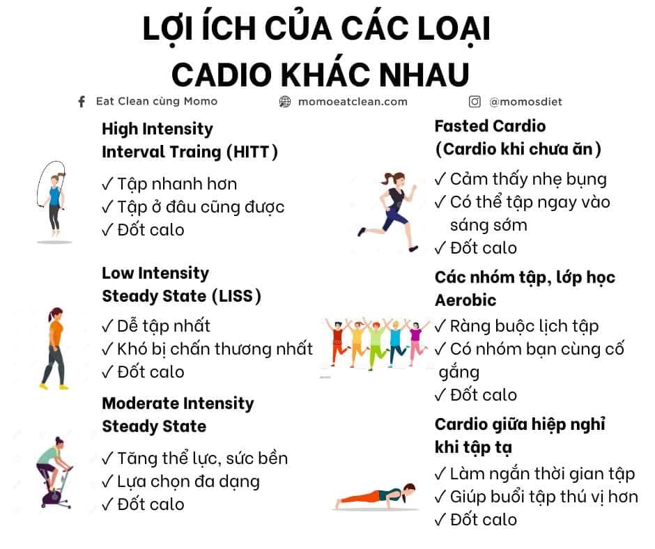 Lợi Ích Của Các Bài Tập Cardio