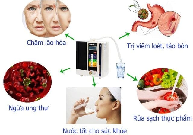 Lợi Ích Của Thực Phẩm Chống Oxy Hóa Đối Với Sức Khỏe
