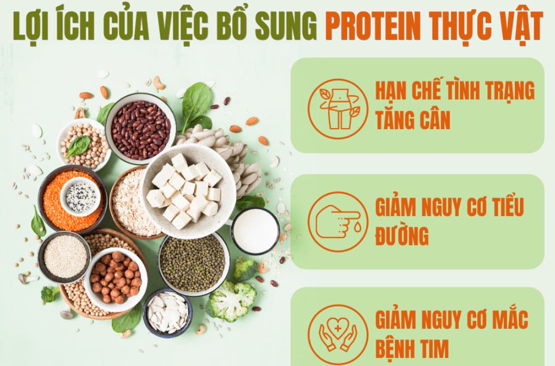 Lợi Ích Của Thực Phẩm Giàu Protein (Đạm)