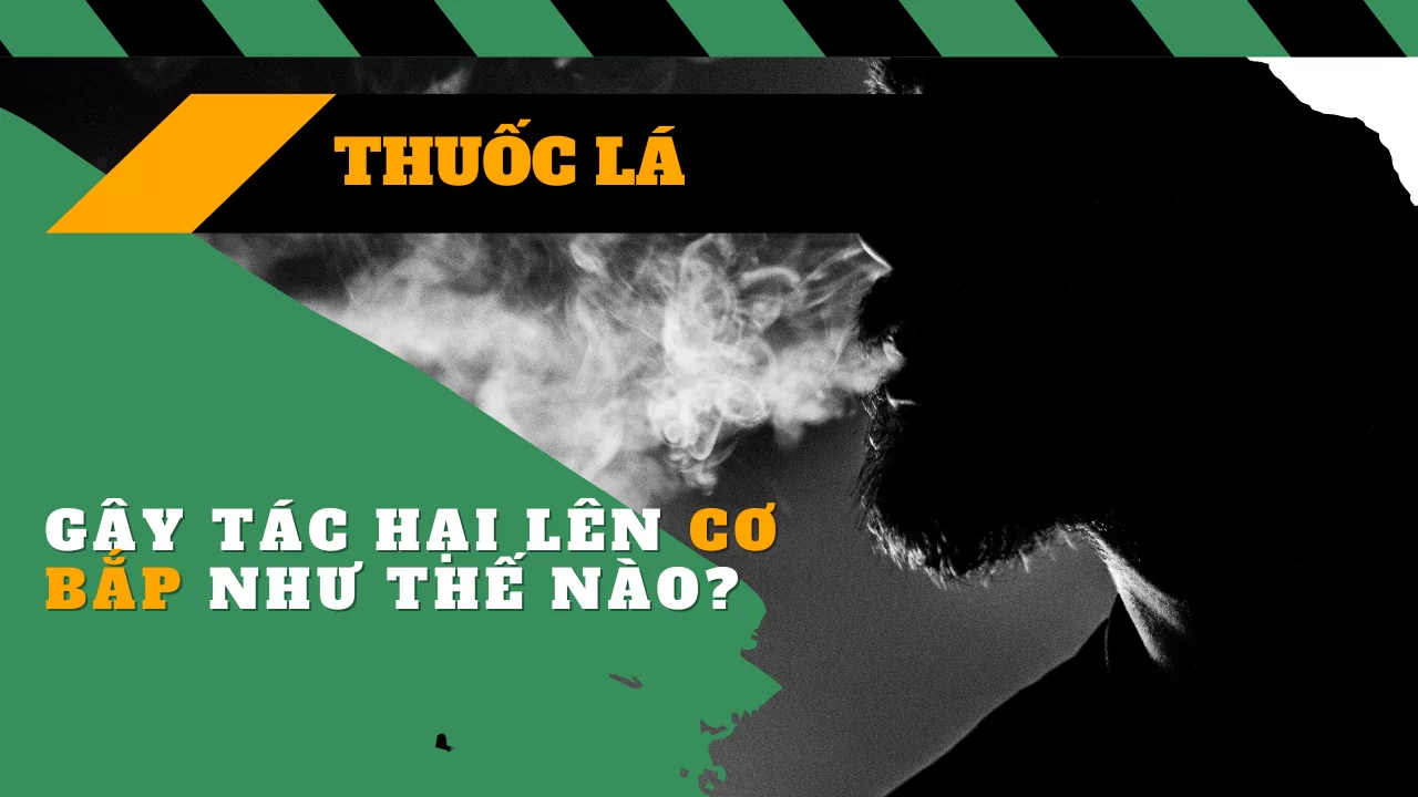 Nicotine Và Các Hóa Chất Gây Hại Trong Thuốc Lá