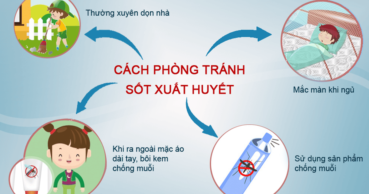 Phòng Bệnh Sốt Xuất Huyết: Hướng Dẫn Chi Tiết Để Bảo Vệ Sức Khỏe
