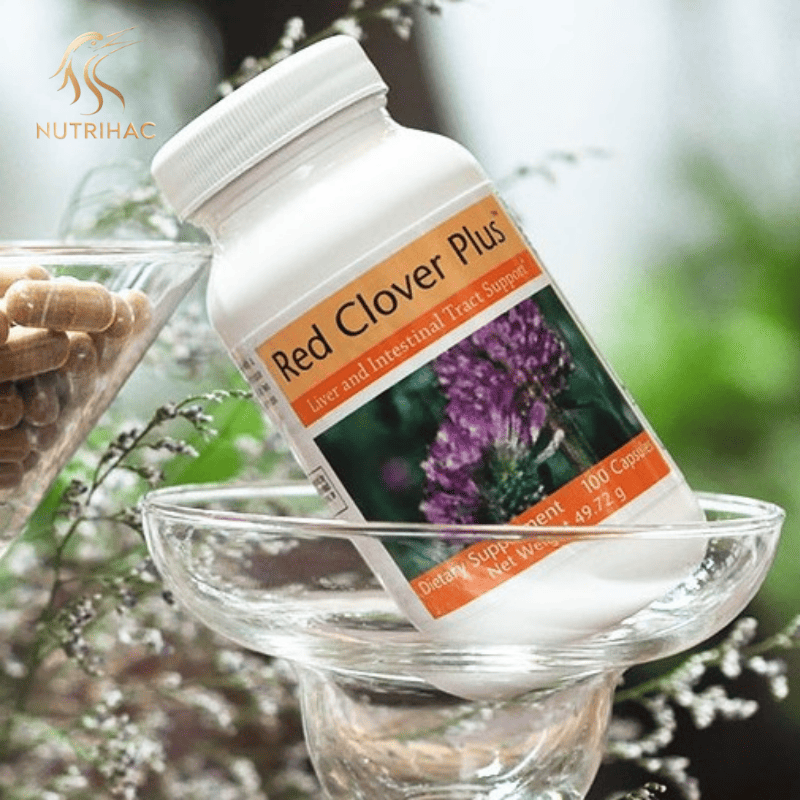 Lợi Ích Nổi Bật Của Red Clover Plus Unicity Lợi Ích Nổi Bật Của Red Clover Plus Unicity