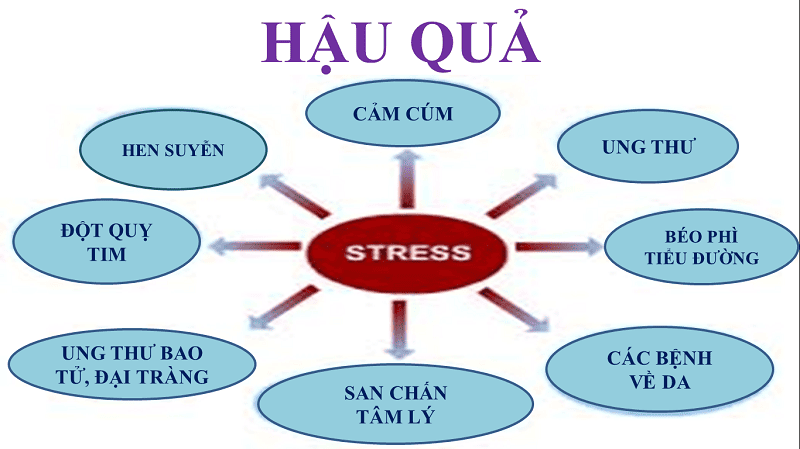 Stress Là Gì Và Ảnh Hưởng Đến Sức Khỏe Như Thế Nào