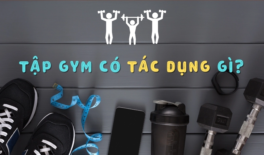Tập Gym Có Tác Dụng Gì? Lợi Ích Toàn Diện Cho Cơ Thể Và Tinh Thần