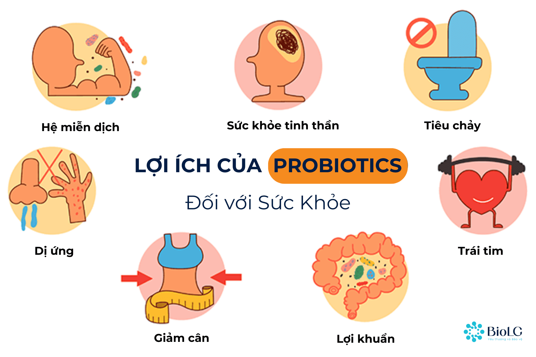 Thực Phẩm Chức Năng Bổ Sung Probiotic