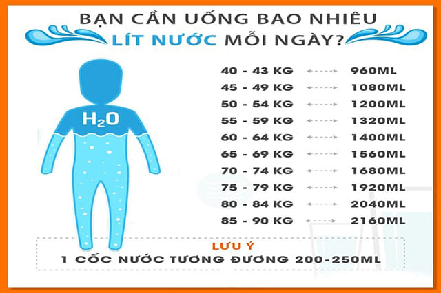 Uống Bao Nhiêu Nước Mỗi Ngày Là Đủ