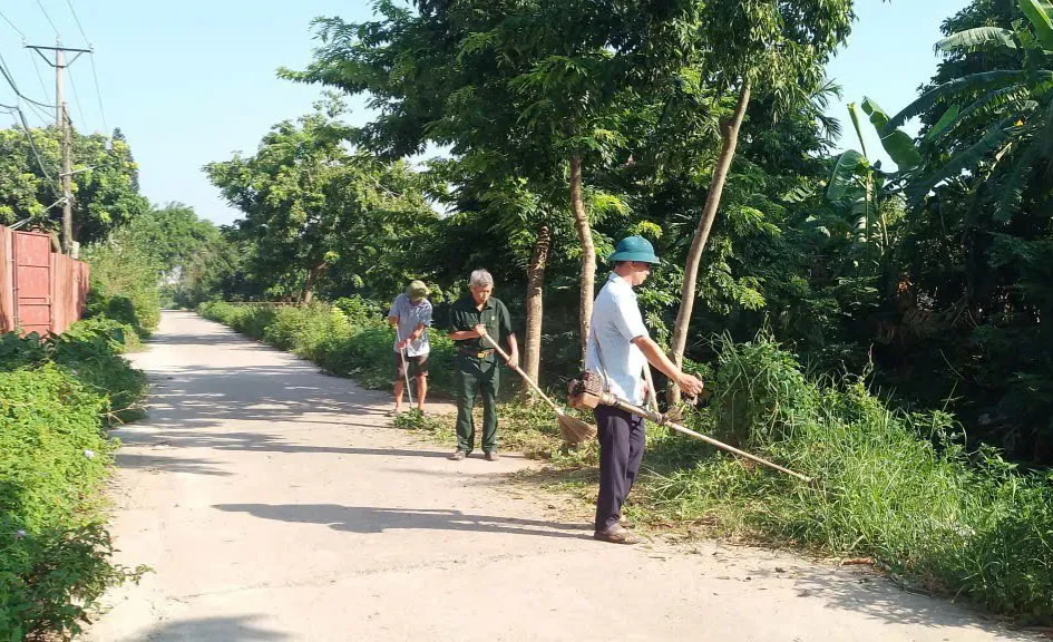 Vệ Sinh Môi Trường Sống Hạn Chế Sản Sinh Muỗi