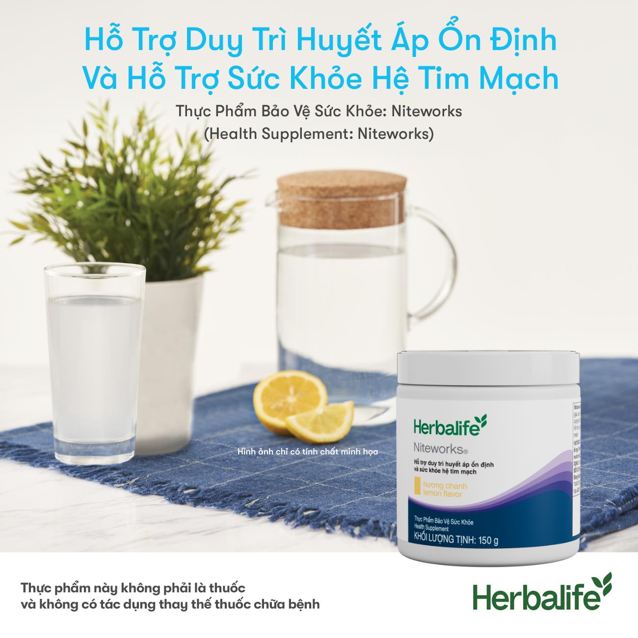 Lưu Ý Khi Mua Niteworks