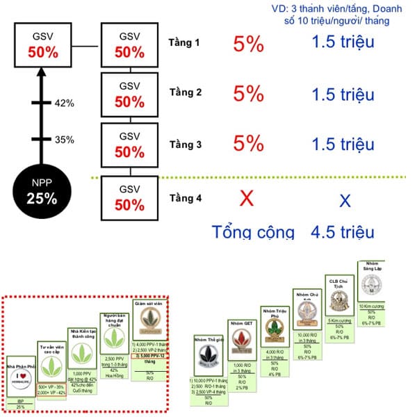 Mô Hình Kinh Doanh Herbalife (MLM Hợp Pháp)